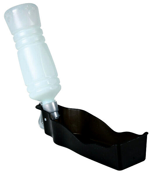 <strong title="Exotic-K Zgarda Chinga Reglabila 10MM*37CM cu Fundita Diverse Culori – zgarda cu fundita diverse culori, zgarda confortabila pentru pisici, accesorii pentru animale, zgarda moda pentru caini">Exotic-K Zgarda Chinga Reglabila 10MM*37CM cu Fundita Diverse Culori – zgarda cu fundita diverse...</strong>