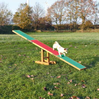 Balansoar Pentru Caini, Fun Agility, 300x54x34 cm, Pana la 80 kg, 3213