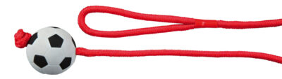 Jucarie Pentru Caini, Minge Fotbal Pe Sfoara, Plutitoare, 6 cm/1.00 m, 3307