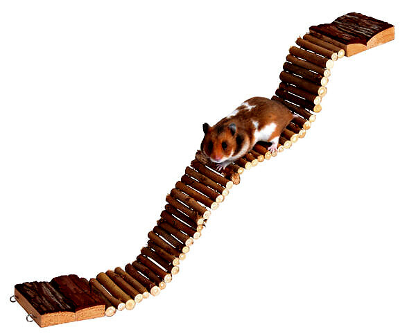 <strong title="Trixie Pod Suspendat Pentru Rozatoare, Lemn, Flexibil, 55×7 cm, 6221 – Rozatoare / Tuneluri & Scari, Natural, Dimensiuni">Trixie Pod Suspendat Pentru Rozatoare, Lemn, Flexibil, 55×7 cm, 6221 – Rozatoare / Tuneluri...</strong> Pod Suspendat Pentru Rozatoare, Lemn, Flexibil, 55x7 cm, 6221