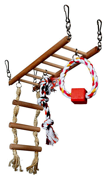 <strong title="Trixie Pod Suspendat Pentru Rozatoare, Cu Jucarii, Lemn, 29x25x9 cm, 6274 – Rozatoare / Tuneluri & Scari">Trixie Pod Suspendat Pentru Rozatoare, Cu Jucarii, Lemn, 29x25x9 cm, 6274 – Rozatoare / Tuneluri...</strong> Pod Suspendat Pentru Rozatoare, Cu Jucarii, Lemn, 29x25x9 cm, 6274