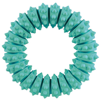 Jucarie Pentru Caini, Denta Fun, Inel, Aroma Menta, Cauciuc, 12 cm 33181