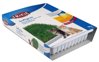 Iarba Soft, In Castron Plastic, 100 g, 4232