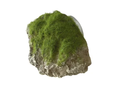 Decor Piatra Cu Muschi Si Ventuza XS - 9x6x6.5 cm 234/430149