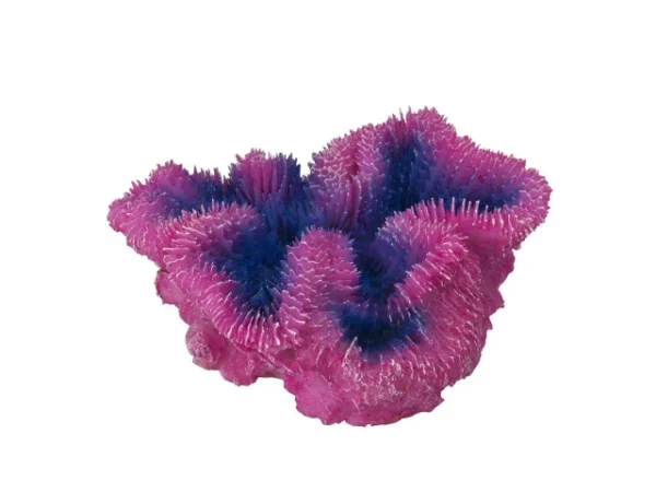 Decor Coral Symphylia Violet 12x5x12 cm 234/431351