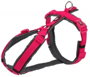 Ham Premium Trekking, L: 70-85 cm/25 mm, Fucsia/ Gri Grafit, 1997411