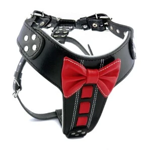 Ham Bowtie-Papion, Piele Naturala, L, Negru/Rosu