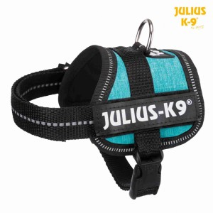 Ham Julius-K9, 3 XS: 26-36 cm/18 mm, Ocean, 150712