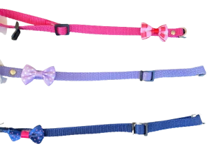 Zgarda Chinga Reglabila 10MM*37CM cu Fundita Diverse Culori