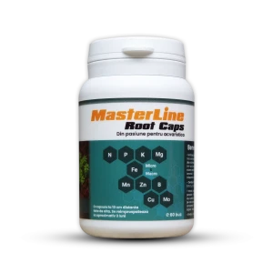 MasterLine Root Caps, 60 Capsule