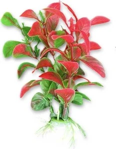 Planta Artificiala Pentru Acvariu, 10 cm, Verde/Rosu, 1B03