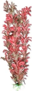 Planta Artificiala Pentru Acvariu, Blister, 40 cm, Rosu/Verde, 4B62