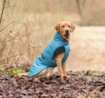 <strong title="Trixie Hainuta Riom De Iarna, XS: 30 cm, Albastru, 680131 – hainuta albastra caini, hainuta iarna caini, hainuta pentru caini, hainuta caini calduroasa">Trixie Hainuta Riom De Iarna, XS: 30 cm, Albastru, 680131 – hainuta albastra caini, hainuta iarna...</strong>