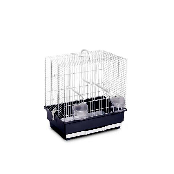 <strong title="FOP Colivie Alfa 3 Bianca, 40x27x48 cm, 10070010 – Pasari / Colivii, Voliere & Tarcuri, Colivie, Dimensiuni">FOP Colivie Alfa 3 Bianca, 40x27x48 cm, 10070010 – Pasari / Colivii, Voliere & Tarcuri,...</strong>