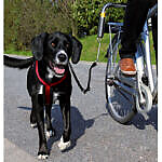 <strong>Trixie</strong> Set de Bicicleta pentru Caini 1287 – Caini / Accesorii Bicicleta