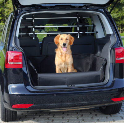 <strong title="Trixie Husa Protectie Portbagaj Auto, 1.64×1.25 m, Negru, 1314 – Caini / Accesorii Auto, Dimensiuni">Trixie Husa Protectie Portbagaj Auto, 1.64×1.25 m, Negru, 1314 – Caini / Accesorii Auto,...</strong>