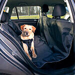 <strong>Trixie</strong> Husa Protectie Bancheta Auto, 1.45×1.60 m, Negru, 13472 – Caini / Accesorii Auto, Trixie