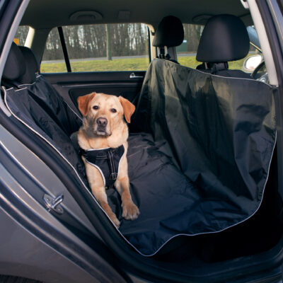 <strong>Trixie</strong> Husa Protectie Bancheta Auto, 1.45×1.60 m, Negru, 13472 – Caini / Accesorii Auto, Trixie