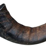 <strong>Trixie</strong> Corn Natural Mare de Bivol 27743 – Caini / Oase Presate & Recompense Tari, Natural