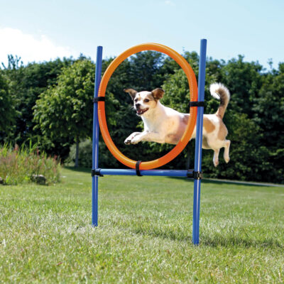 Trixie Inel Pentru Caini, Fun Agility, Plastic, 115×3 cm, 65 cm, 3208 – Caini / Dresaj &...