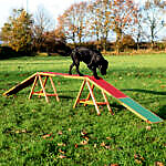 <strong title="Trixie Barna Pentru Caini, Fun Agility, 456x64x30 cm, Pana la 80 kg, 32090 – Caini / Dresaj & Sport">Trixie Barna Pentru Caini, Fun Agility, 456x64x30 cm, Pana la 80 kg, 32090 – Caini / Dresaj &...</strong>