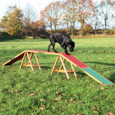 <strong title="Trixie Barna Pentru Caini, Fun Agility, 456x64x30 cm, Pana la 80 kg, 32090 – Caini / Dresaj & Sport">Trixie Barna Pentru Caini, Fun Agility, 456x64x30 cm, Pana la 80 kg, 32090 – Caini / Dresaj &...</strong>