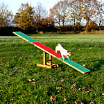 Balansoar Pentru Caini, Fun Agility, 300x54x34 cm, Pana la 80 kg, 3213