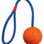 <strong title="Trixie Jucarie Pentru Caini, Minge Cauciuc Pe Sfoara, 7/30 cm, 3305 – Caini / Jucarii pentru Aport, Natural">Trixie Jucarie Pentru Caini, Minge Cauciuc Pe Sfoara, 7/30 cm, 3305 – Caini / Jucarii pentru...</strong>