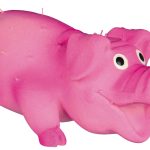<strong title="Trixie Jucarie Pentru Caini, Porc Cu Tepi, Latex, Cu Sunet, 10 cm, 35190 – Caini / Jucarii pentru Aport">Trixie Jucarie Pentru Caini, Porc Cu Tepi, Latex, Cu Sunet, 10 cm, 35190 – Caini / Jucarii pentru...</strong>