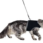 <strong title="Trixie Ham Si Lesa Soft Pentru Pisici, XXL: 36-54 cm/10 mm, 1.20 m, Negru, 41895 – Pisici / La Plimbare, Trixie">Trixie Ham Si Lesa Soft Pentru Pisici, XXL: 36-54 cm/10 mm, 1.20 m, Negru, 41895 – Pisici / La...</strong>