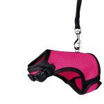 Ham Si Lesa Pentru Porcusori de Guineea, Soft, 18-25 cm/1.20 m, Diferite Culori, 61512