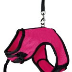<strong title="Trixie Ham Si Lesa Pentru Iepuri, Soft, 25-40 cm/1.20 m, Diferite Culori, 61514 – Rozatoare / La Plimbare / Hamuri, Trixie">Trixie Ham Si Lesa Pentru Iepuri, Soft, 25-40 cm/1.20 m, Diferite Culori, 61514 – Rozatoare / La...</strong>