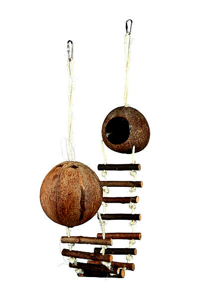 <strong title="Trixie Casute Nuci Cocos Pentru Rozatoare, Cu Pod, 13×100 cm, 62103 – Rozatoare / Casute & Cuiburi, Trixie">Trixie Casute Nuci Cocos Pentru Rozatoare, Cu Pod, 13×100 cm, 62103 – Rozatoare / Casute...</strong>