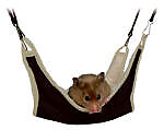 <strong title="Trixie Hamac Pentru Hamsteri, 18×18 cm, Diferite Culori, 62691 – Rozatoare / Pernite & Hamace, Dimensiuni">Trixie Hamac Pentru Hamsteri, 18×18 cm, Diferite Culori, 62691 – Rozatoare / Pernite &...</strong>