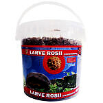 <strong>Exotic-K</strong> Exo Chironomus (Larve Rosii) 1000 ml Galetusa – Pesti / Hrana Pesti de Acvariu