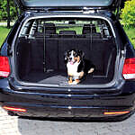 Grilaj Auto Portbagaj, Latime: 85-140 cm/ Inaltime: 75-110 cm, Negru, 1316
