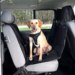Husa Protectie Bancheta Auto, 1.45×1.60 m, Negru, 1324