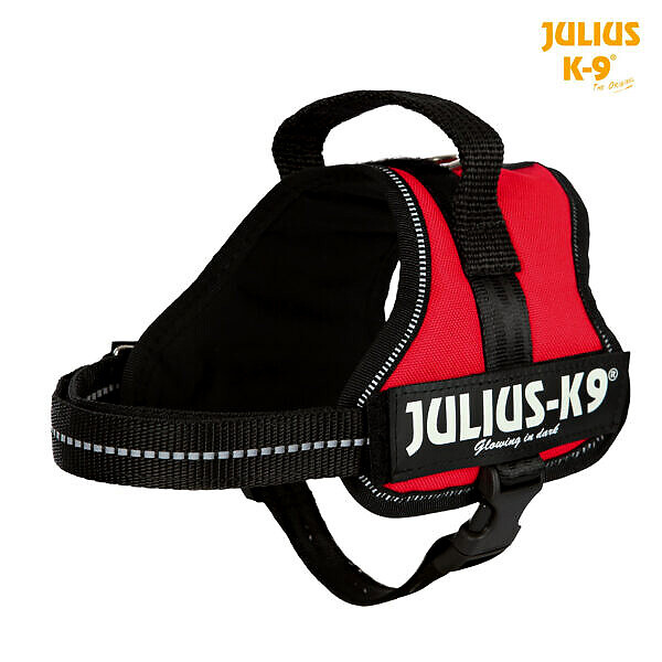 <strong>Julius K-9</strong> Ham Julius-K9 Mini-Mini/S 40-53 cm/22 mm Rosu 15013 – Caini / La Plimbare / Hamuri