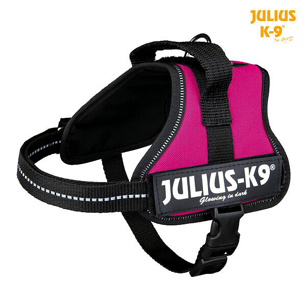 <strong title="Julius K-9 Ham Julius-K9 Mini-Mini/S 40-53 cm/22 mm Fuchsia(Mov) 15018 – Caini / La Plimbare / Hamuri">Julius K-9 Ham Julius-K9 Mini-Mini/S 40-53 cm/22 mm Fuchsia(Mov) 15018 – Caini / La Plimbare /...</strong>