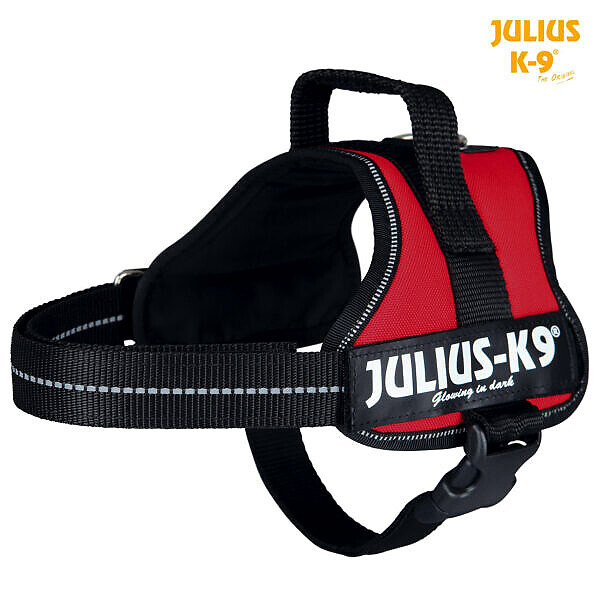 <strong>Julius K-9</strong> Ham Julius-K9 Mini/M 51-67 cm/28 mm Rosu 150203 – Caini / La Plimbare / Hamuri