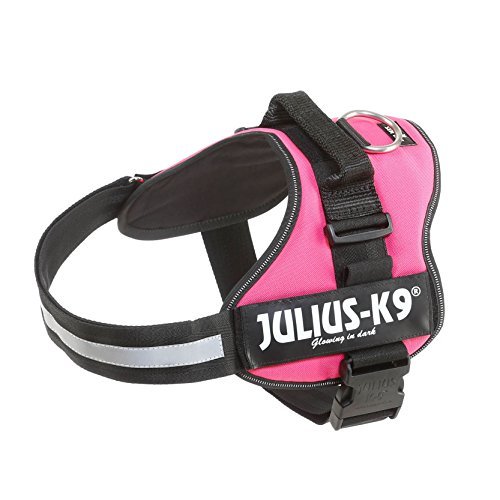 <strong>Julius K-9</strong> Ham Julius-K9 1 L 66-85 cm/50 mm Fuchsia 15048 – Caini / La Plimbare / Hamuri