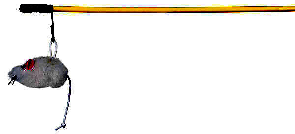 <strong title="Trixie Jucarie Pentru Pisici, Undita Cu Soricel, 100 cm 4103 – jucarie pentru pisici de calitate, Jucărie pentru pisici durabilă, Jucărie pentru pisici atractivă, Jucărie pentru pisici undiță interactivă">Trixie Jucarie Pentru Pisici, Undita Cu Soricel, 100 cm 4103 – jucarie pentru pisici de calitate,...</strong>