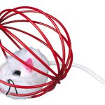 <strong title="Trixie Jucarie Pentru Pisici, Soarece, Plus, In Glob Metalic, 6 cm 4115 – jucarie pentru pisici de calitate, Jucărie pentru pisici durabilă, Jucărie pentru pisici atractivă, Jucărie pentru pisici diverse culori">Trixie Jucarie Pentru Pisici, Soarece, Plus, In Glob Metalic, 6 cm 4115 – jucarie pentru pisici...</strong>