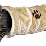 <strong title="Trixie Tunel Crunch Plus 22×60 Bej 42981 – Tunel Crunch Plus pentru pisici, Tunel Crunch Plus 22x60 cm pentru pisici, Tunel Crunch Plus bej pentru pisici, Tunel Crunch Plus 42981 pentru pisici">Trixie Tunel Crunch Plus 22×60 Bej 42981 – Tunel Crunch Plus pentru pisici, Tunel Crunch...</strong>