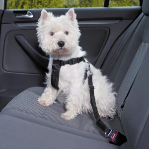 Trixie Ham Si Centura Auto Pentru Caini, XS: 20-50 cm/15 mm, Negru, 1288 – Caini / Accesorii...