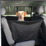 <strong title="Trixie Husa Protectie Bancheta Auto, Cu Parti Laterale, 1.50×1.35 m, Negru, 1348 – Caini / Accesorii Auto, Dimensiuni">Trixie Husa Protectie Bancheta Auto, Cu Parti Laterale, 1.50×1.35 m, Negru, 1348 – Caini /...</strong>