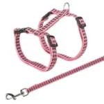 <strong title="Trixie Ham Si Lesa Pentru Pisici, Reflectorizant, 22-42 cm/10 mm, 1.20 m, Diferite Culori, 4184 – Pisici / La Plimbare">Trixie Ham Si Lesa Pentru Pisici, Reflectorizant, 22-42 cm/10 mm, 1.20 m, Diferite Culori, 4184 –...</strong>