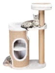 <strong title="Trixie Ansamblu De Joaca, Falco, 70×38 cm/ h: 117 cm, Gri/Maro, 44416 – ansamblu de joaca Falco, 70x38 cm pisici, produse pentru pisici, ansamblu de joaca gri maro">Trixie Ansamblu De Joaca, Falco, 70×38 cm/ h: 117 cm, Gri/Maro, 44416 – ansamblu de joaca...</strong>