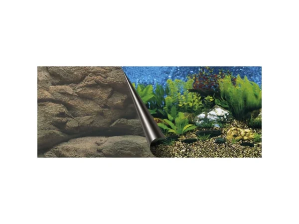 <strong title="Laroy Group Fundal Dublu Pentru Acvariu, Mare Si Stanca, 80×40 cm 241/108772 – fundal acvariu cu aspect realist, decoratiuni acvariu mare, accesorii acvariu, fundal acvariu pentru acvarii mari">Laroy Group Fundal Dublu Pentru Acvariu, Mare Si Stanca, 80×40 cm 241/108772 – fundal...</strong>