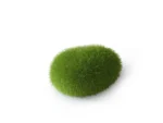 <strong title="Laroy Group Decor Minge din Muschi, S: 6 x 4.5 x 3.5 cm, 234/426470 – dimensiuni decor acvariu, decor acvariu 6x4.5x3.5 cm, accesorii acvariu, minge din muschi decorativ">Laroy Group Decor Minge din Muschi, S: 6 x 4.5 x 3.5 cm, 234/426470 – dimensiuni decor acvariu,...</strong>